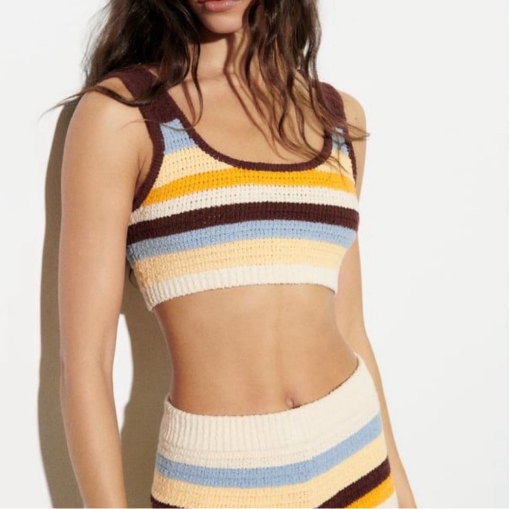 Zara Knit Striped Multi Color Crop Top